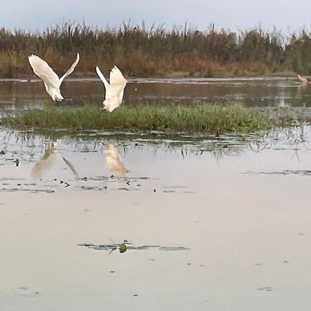 Tea Resort Saraswatipur Shaugaon 外观 照片