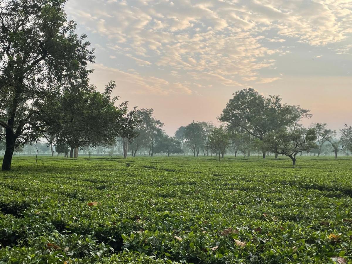 Tea Resort Saraswatipur Shaugaon 外观 照片