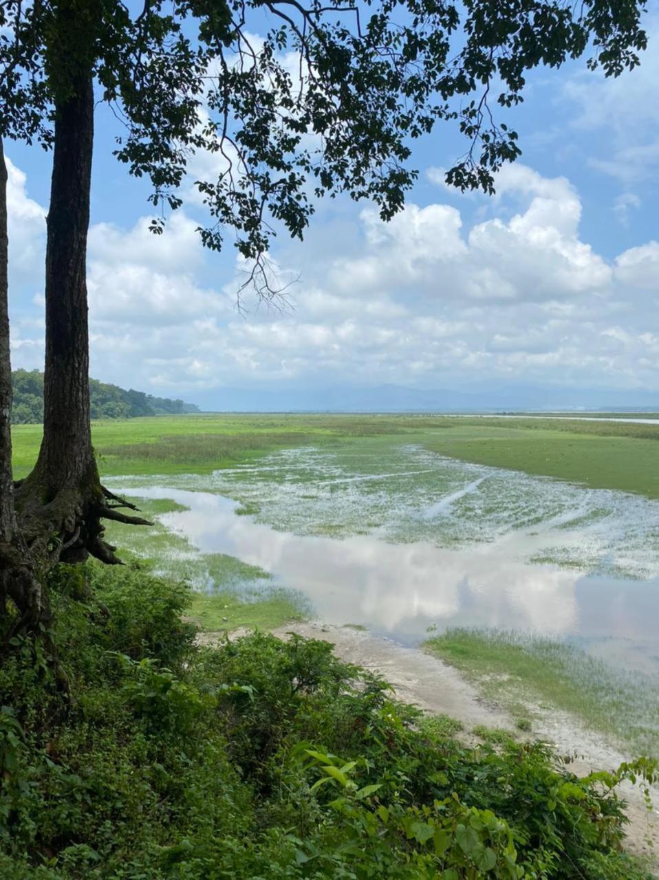 Tea Resort Saraswatipur Shaugaon 外观 照片